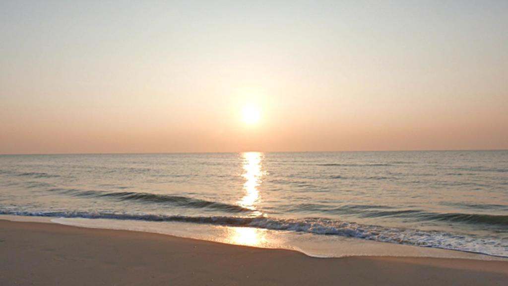 הוי אן Hung Do Beach Homestay מראה חיצוני תמונה